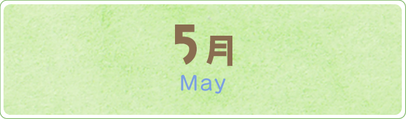 5月