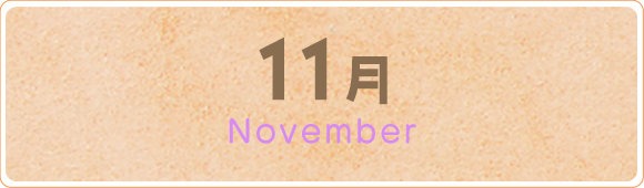 11月