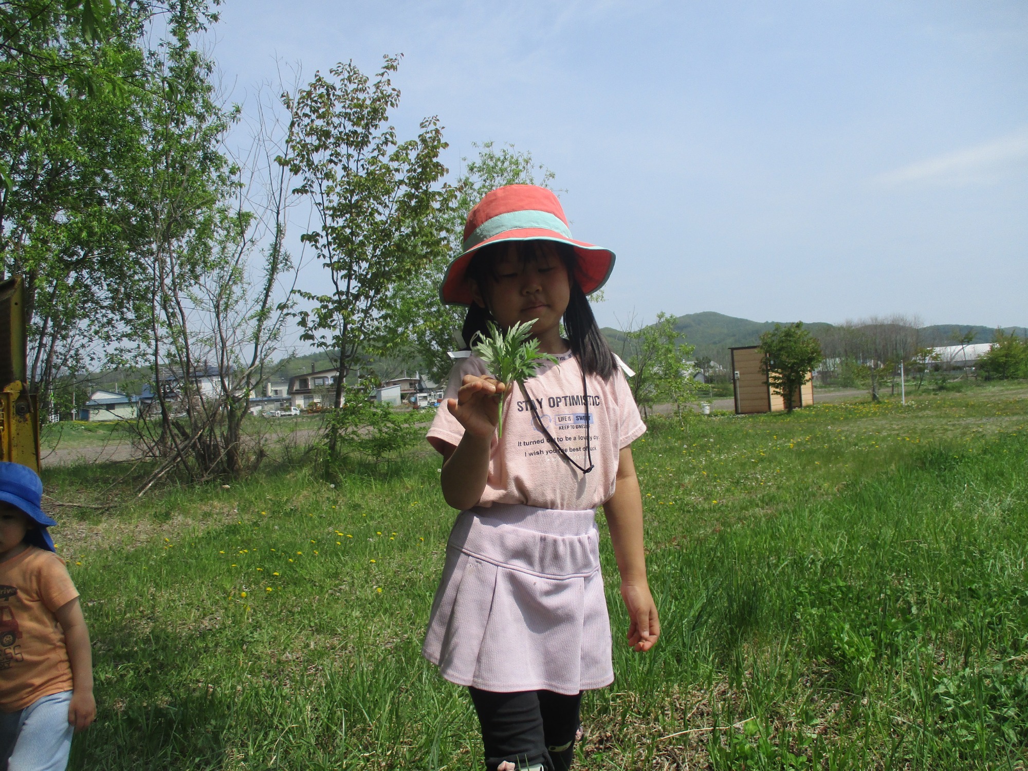 2023.05.24  よもぎ採りに行きました！