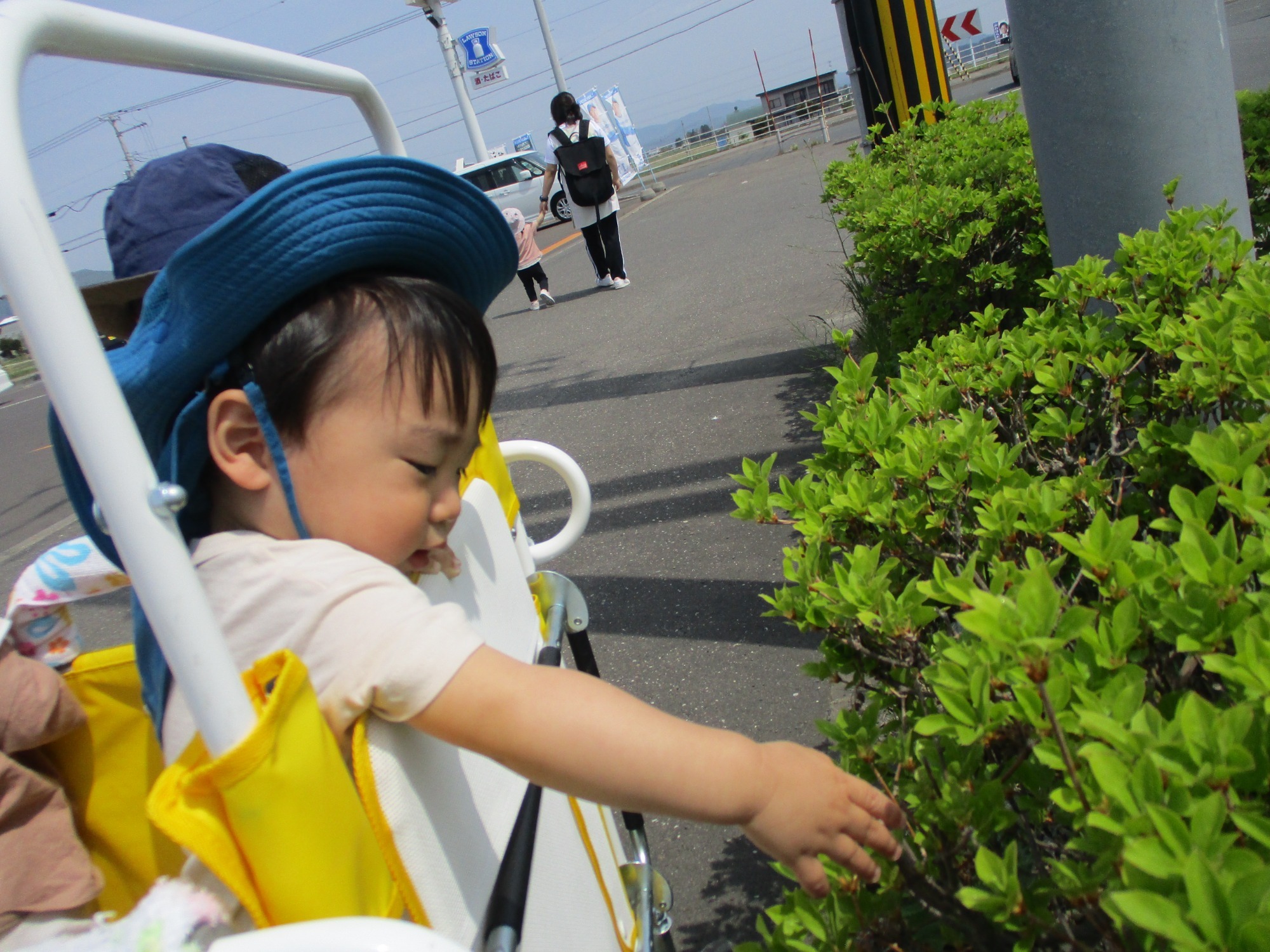 写真：保育の風景