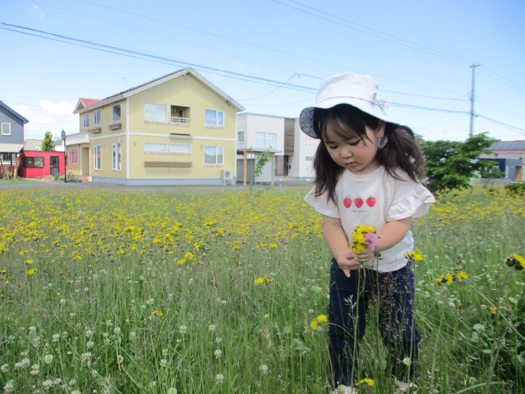 写真：保育の風景