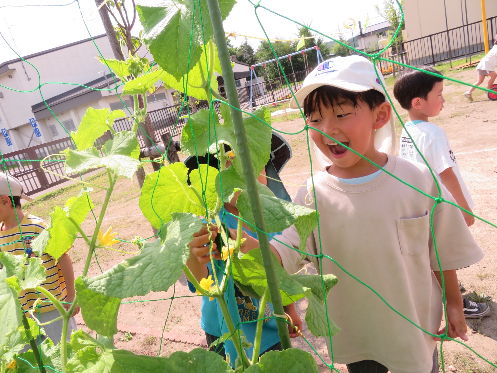 2023.07.28　暑い夏を満喫しています！