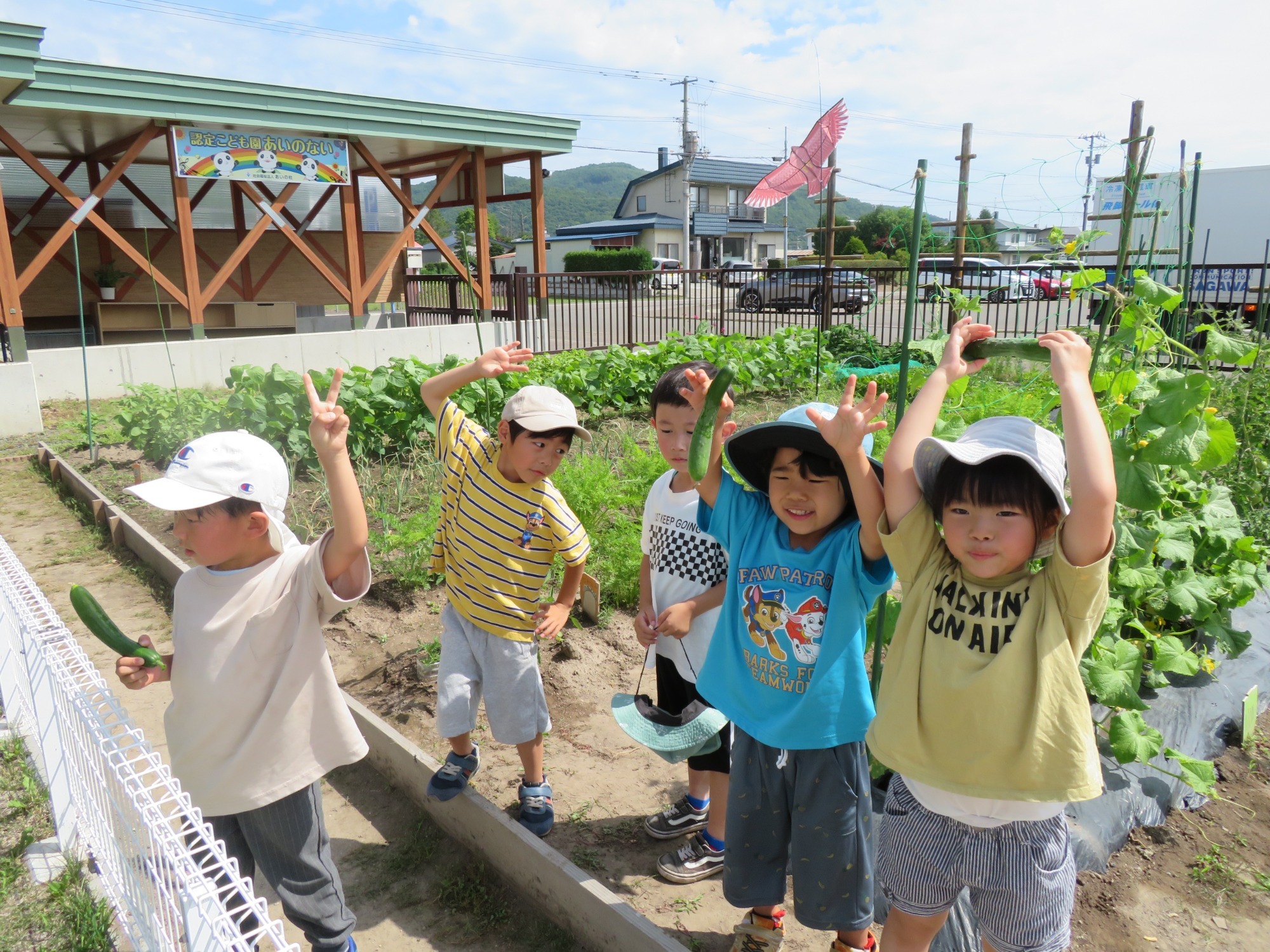 2023.07.28　暑い夏を満喫しています！