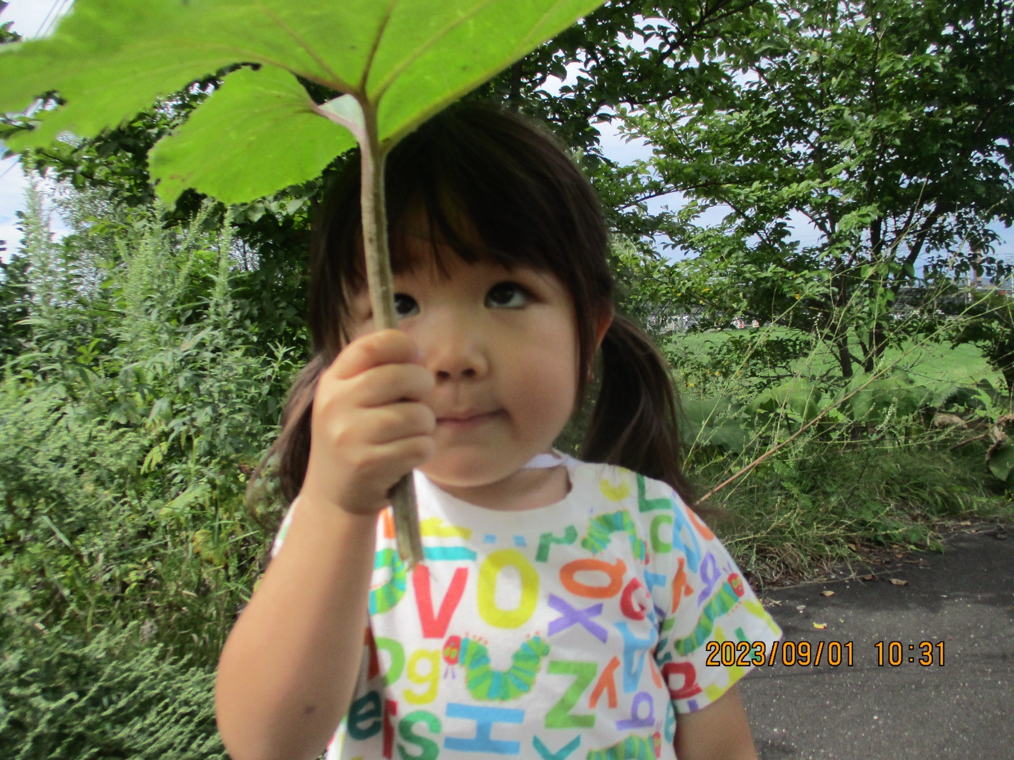 写真：保育の風景