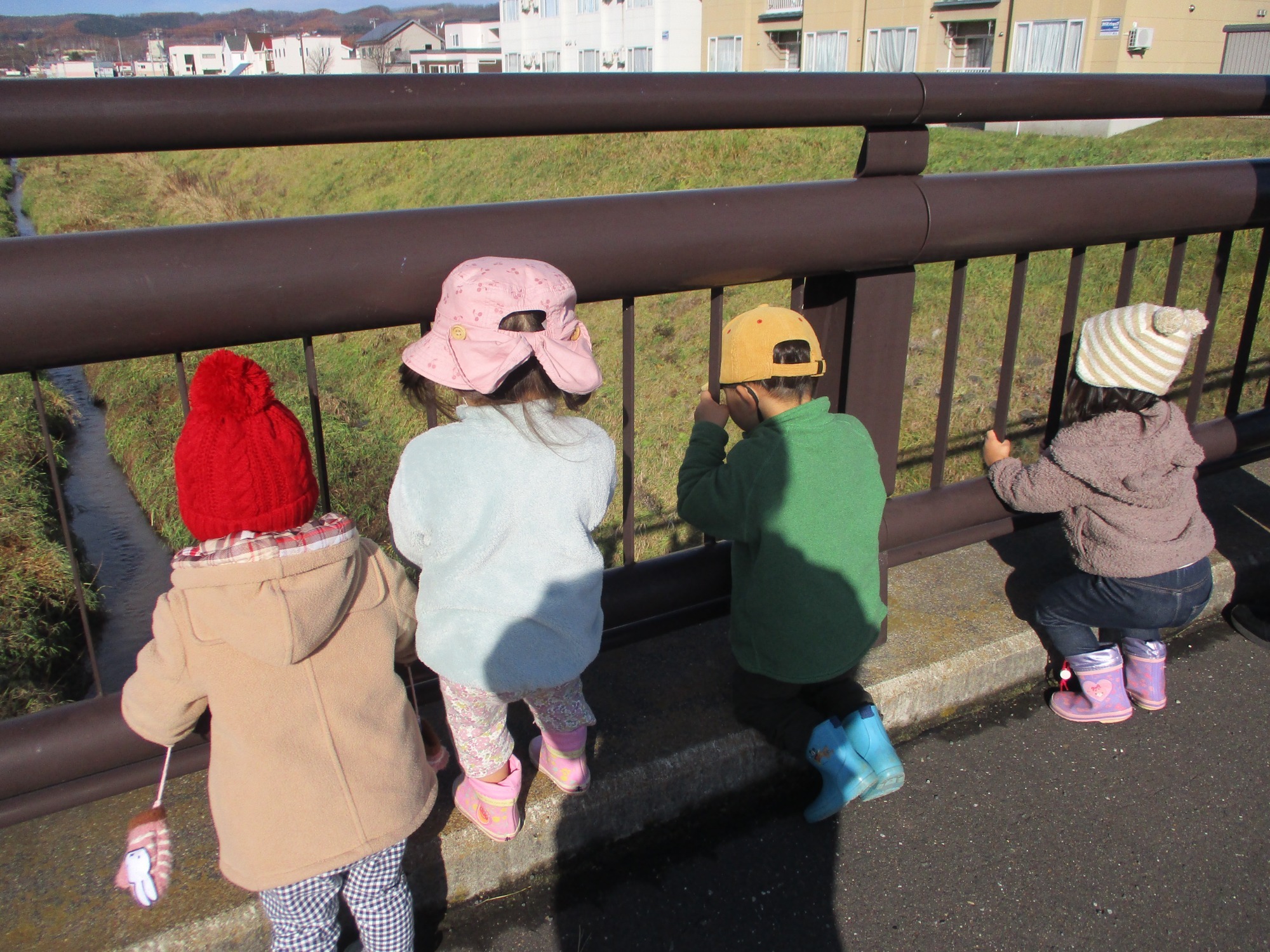 写真：保育の風景