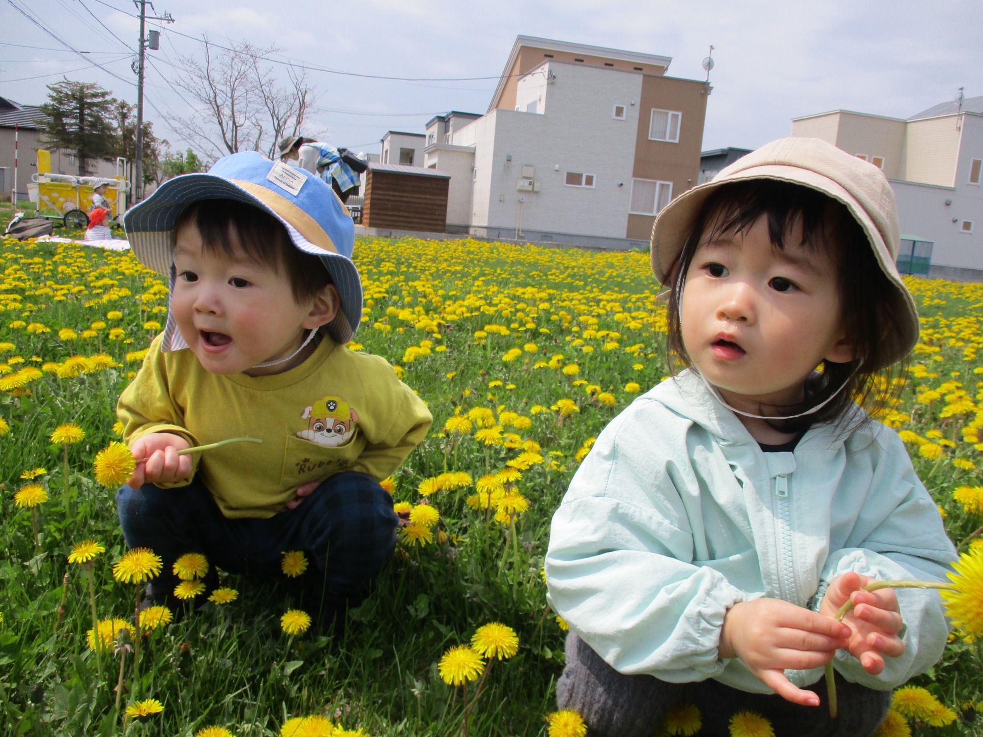 写真：保育の風景