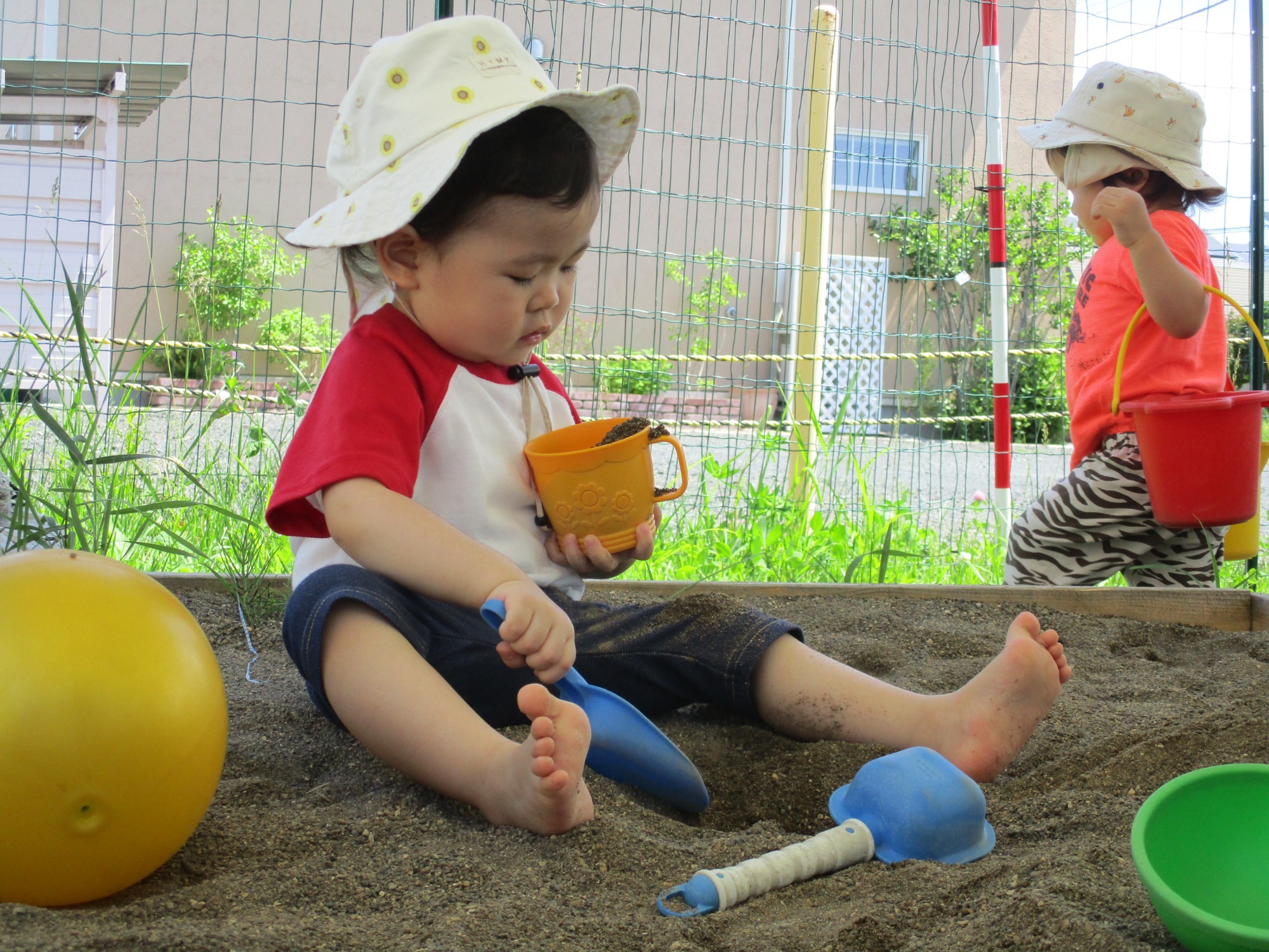 写真：保育の風景
