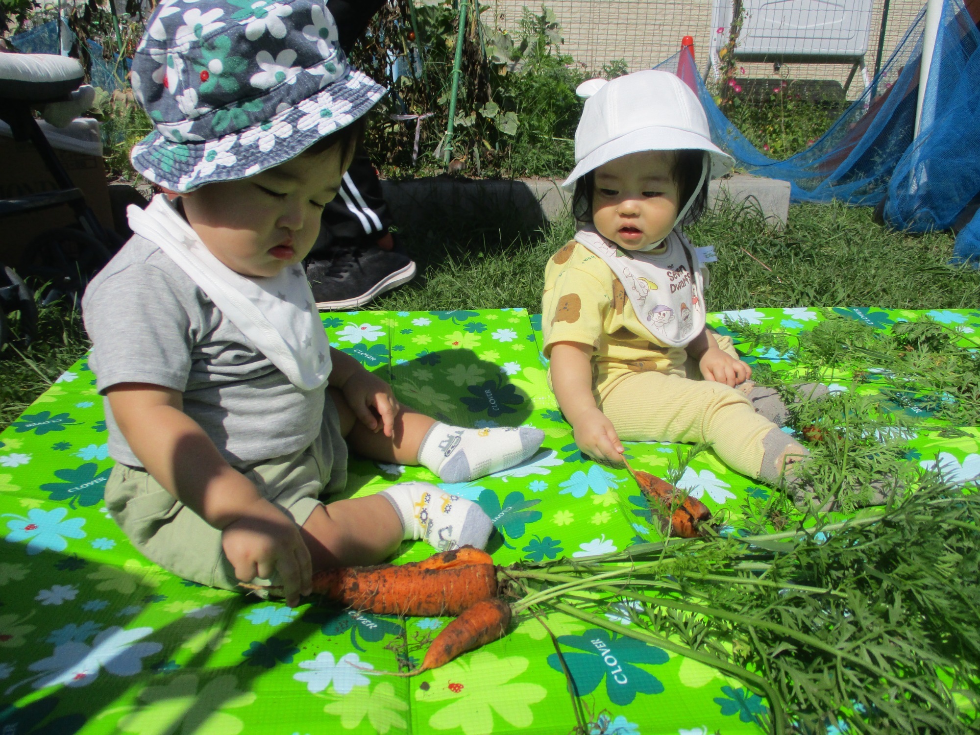 2023.11.01 感触遊びやごっこ遊びを楽しむ子ども達