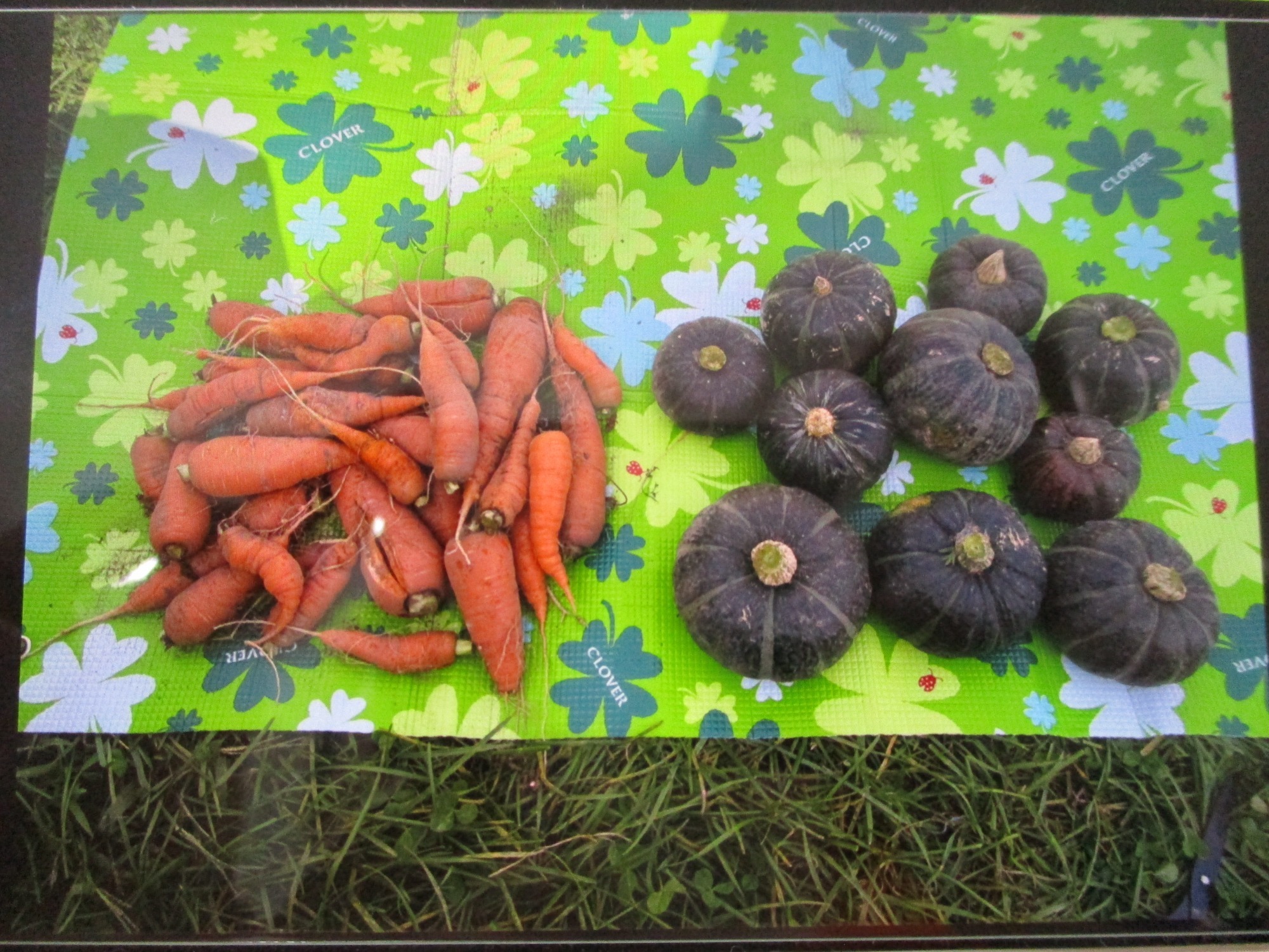 2023.11.01 感触遊びやごっこ遊びを楽しむ子ども達