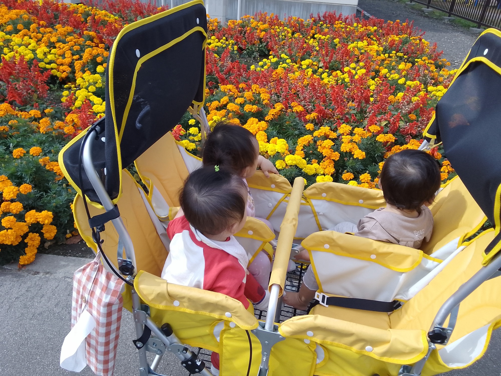 2023.10月　園庭遊び