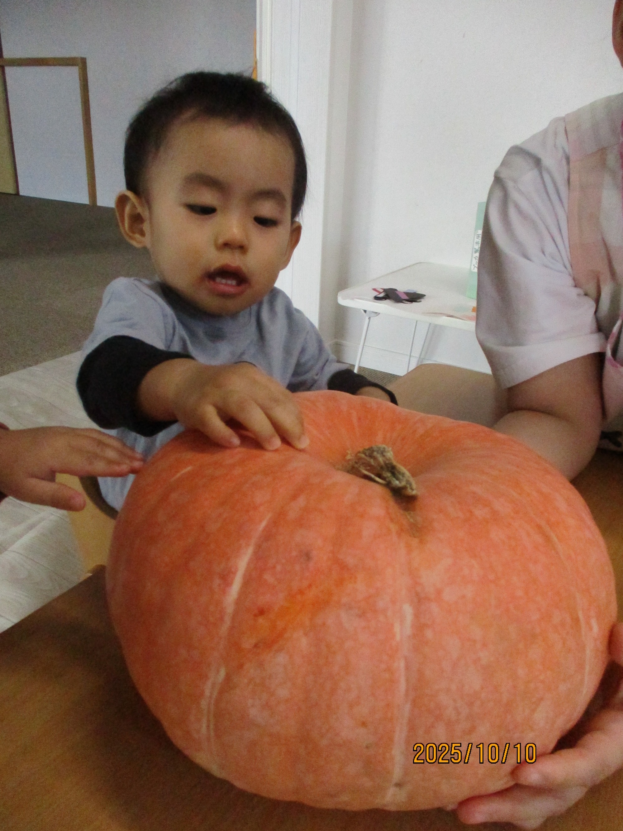 2023.11.01 感触遊びやごっこ遊びを楽しむ子ども達