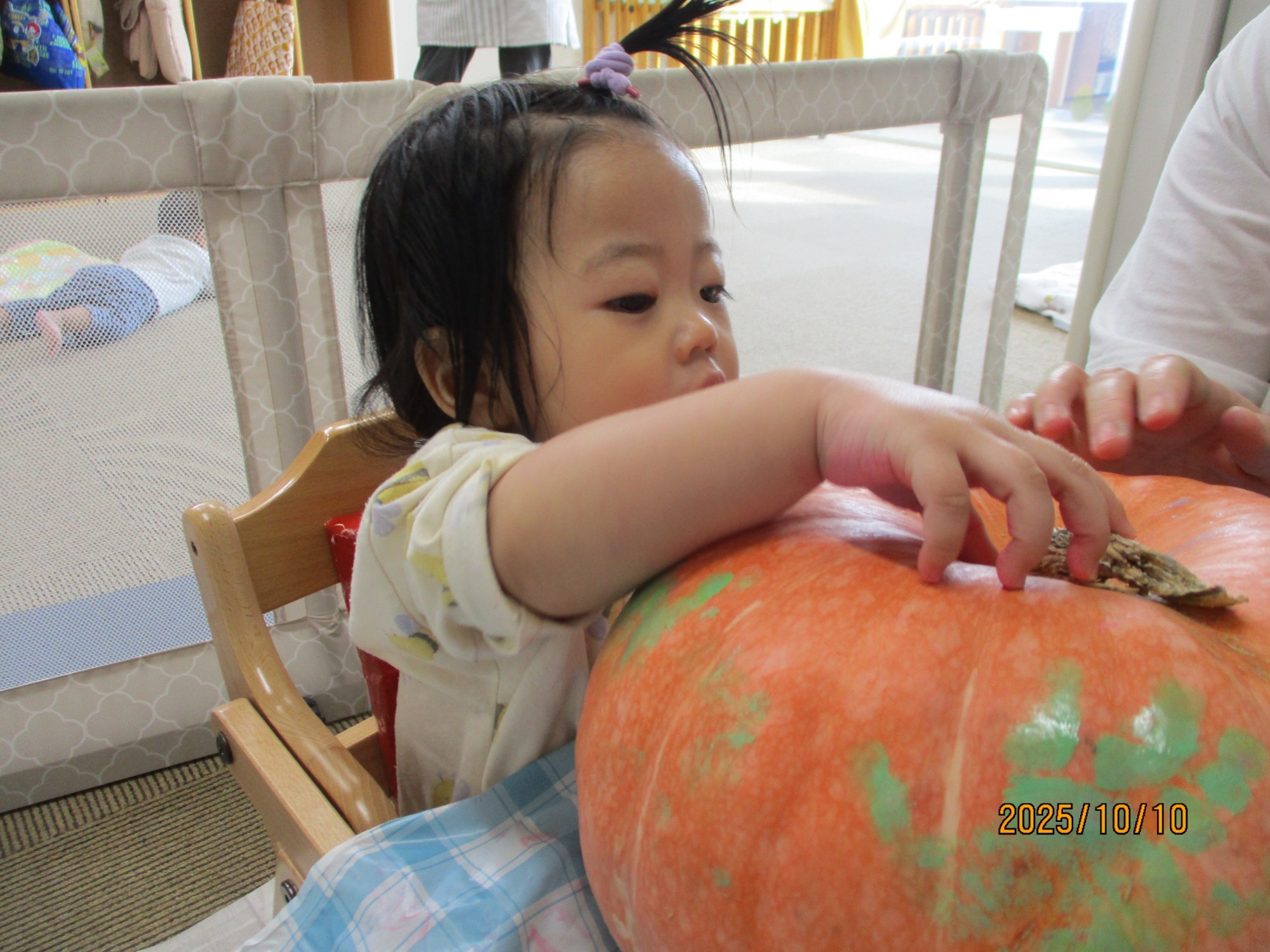 2023.11.01 感触遊びやごっこ遊びを楽しむ子ども達