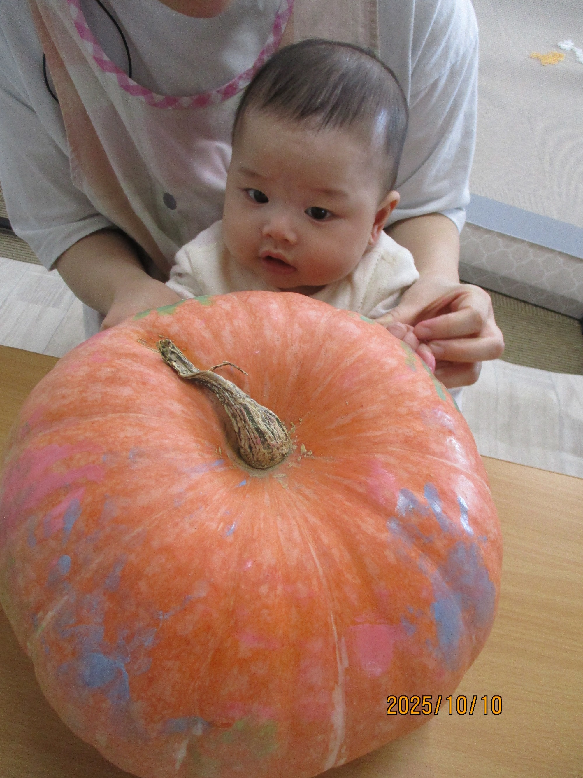 2023.11.01 感触遊びやごっこ遊びを楽しむ子ども達