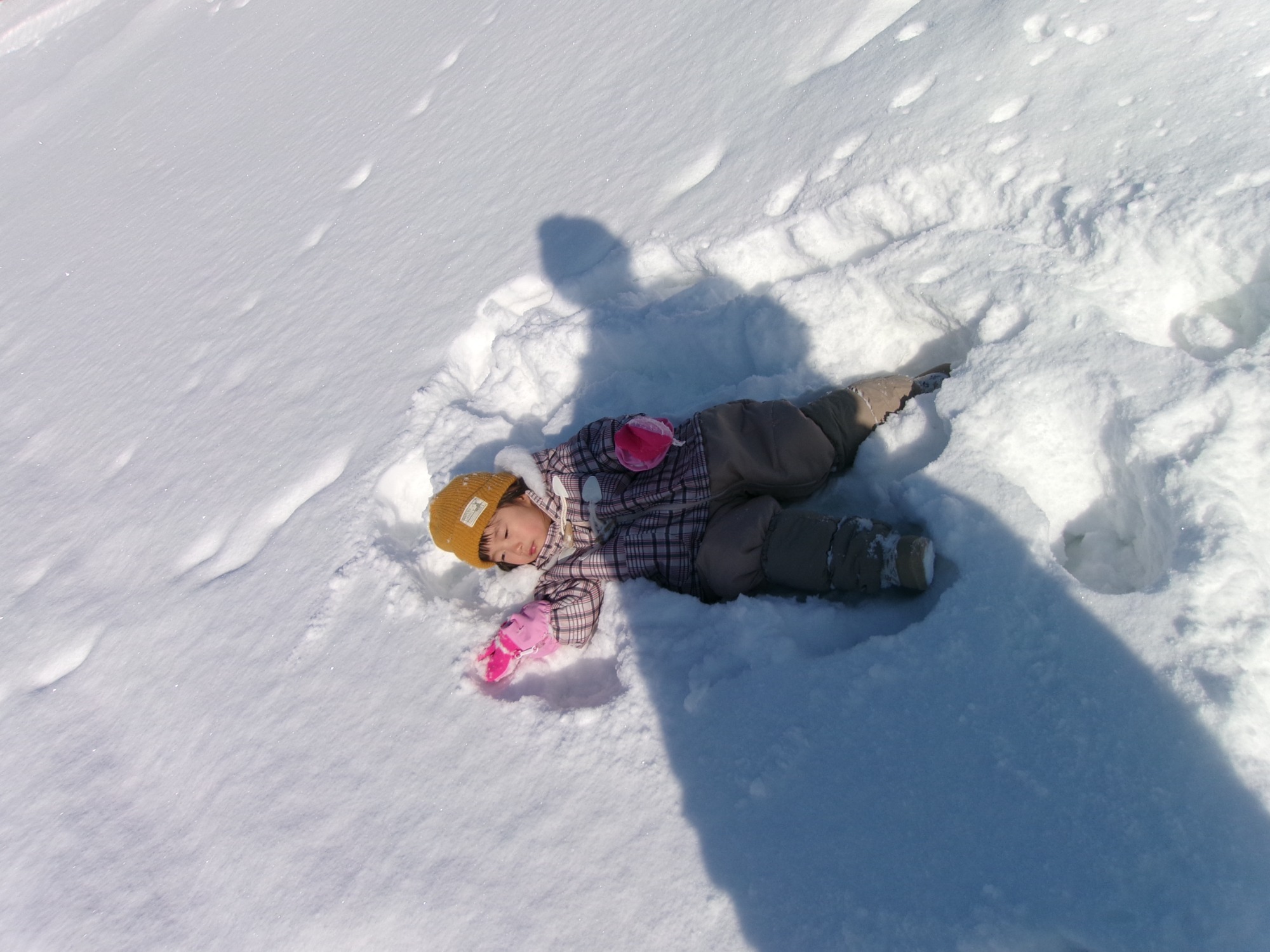 写真：保育の風景