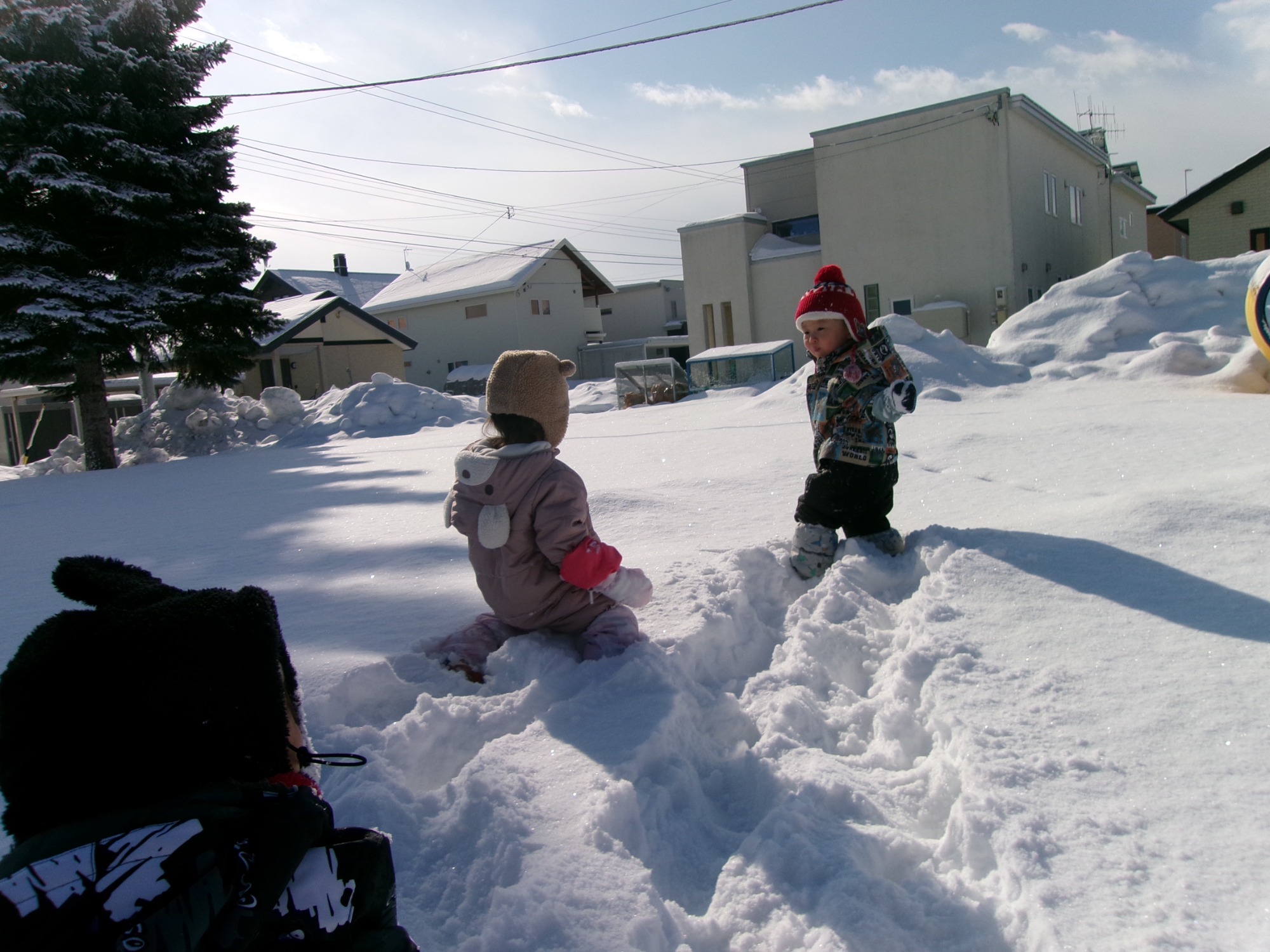 写真：保育の風景