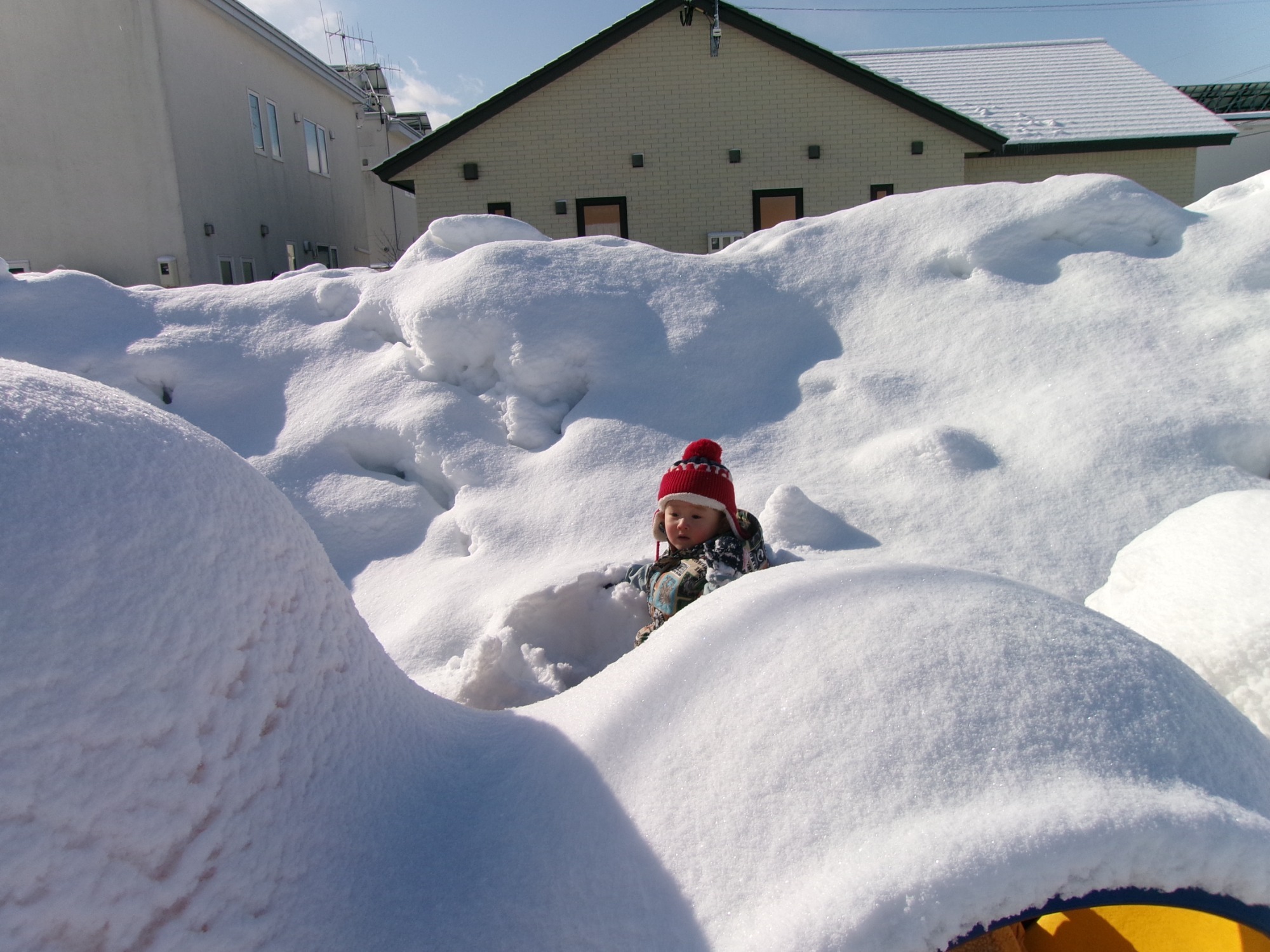 写真：保育の風景